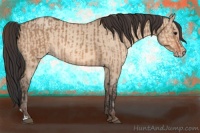 Horse Color:Bay Dun  and Amber Champagne Dun 