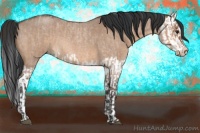 Horse Color:Bay Roan Dun and Bay Roan Dun Splash