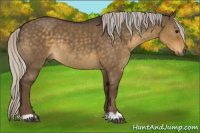 Horse Color:Silver Smoky Grullo 