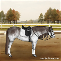 Horse Color:White Spotted Liver Red Roan