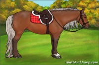 Horse Color:Silver Bay 