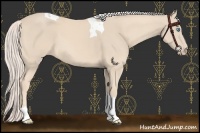 Horse Color:Cremello Tobiano