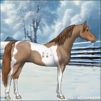 Horse Color:Red Roan Tobiano 