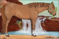 Horse Color:Chestnut Tobiano