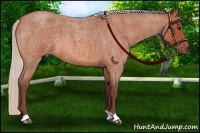 Horse Color:Chocolate Silver Bay Roan 