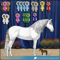 Horse Color:Buckskin Roan Dun Blanket 