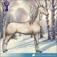 Horse Color:Bay Dun Mushroom  and White Spotted Chocolate Palomino Pearl Dun Mushroom Splash 