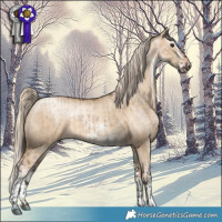 Horse Color:Bay Dun Mushroom  and White Spotted Chocolate Palomino Pearl Dun Mushroom Splash 