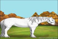 Horse Color:Black Sabino Splash