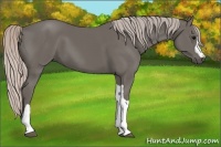Horse Color:Silver Black 