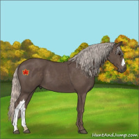 Horse Color:Silver Black 