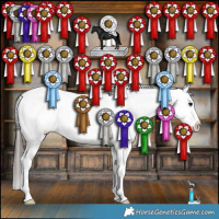 Horse Color:Grullo Appaloosa Brindle