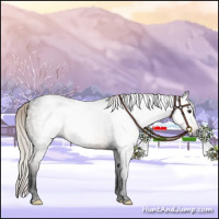 Horse Color:Gray Void Silver Brown Dun Tobiano 