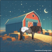 Horse Color:Grullo Appaloosa