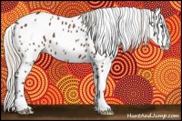 Horse Color:Silver Brown Appaloosa 