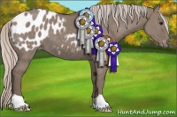 Horse Color:Silver Grullo Appaloosa