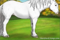 Horse Color:Grullo Splash Appaloosa 