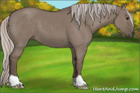 Horse Color:Silver Grullo 