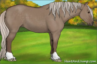 Horse Color:Silver Grullo 
