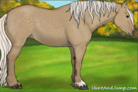 Horse Color:Silver Smoky Grullo 