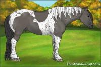 Horse Color:Grullo Tobiano 