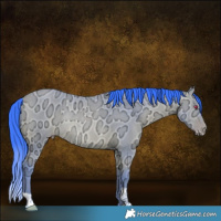 Horse Color:Watercolor Amber Champagne Chinchilla Ice Rabicano 