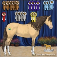 Horse Color:Amber Cream Champagne