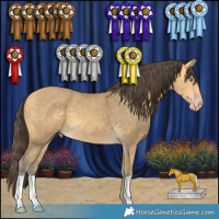 Horse Color:Amber Cream Champagne 