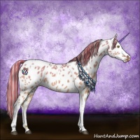Horse Color:Painted Silver Bay Dun Tobiano Appaloosa 