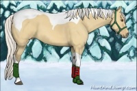 Horse Color:Silver Buckskin Dun Tobiano
