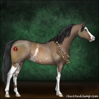 Horse Color:White Spotted Bay Dun Sabino 