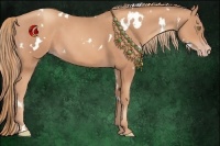 Horse Color:White Spotted Gold Champagne 