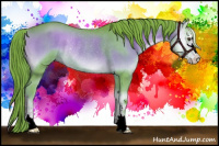 Horse Color:Watercolor Liver Red Onyx Roan Sabino Rabicano