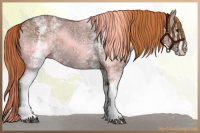 Horse Color:White Spotted Liver Red Dun Ice 