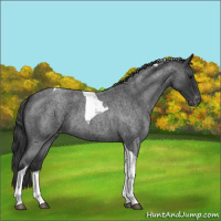 Horse Color:Blue Roan Tobiano Varnish 