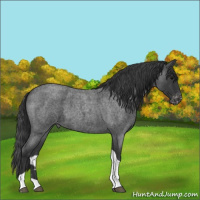 Horse Color:Blue Roan Tobiano Varnish 