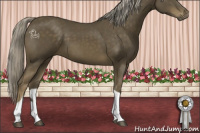 Horse Color:Chocolate Palomino Mushroom Tobiano 