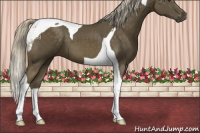 Horse Color:Chocolate Palomino Mushroom Tobiano