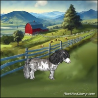 Horse Color:Grullo Splash 