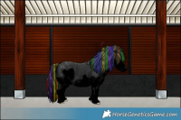 Horse Color:Void Painted Black Splash Rabicano 