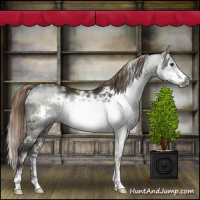 Horse Color:White Spotted Liver Chestnut Sabino Frame 