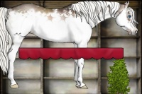 Horse Color:White Spotted Liver Red Onyx Mushroom Sabino Splash Frame Brindle 