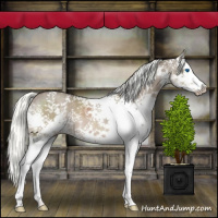 Horse Color:White Spotted Liver Red Dun Mushroom Splash Brindle 