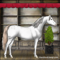 Horse Color:Liver Red Onyx Sabino Frame Brindle 