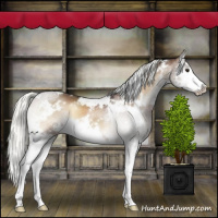 Horse Color:White Spotted Liver Red Onyx Mushroom Splash 