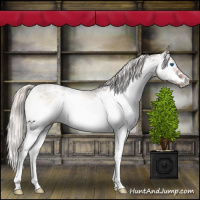 Horse Color:Liver Red Dun Onyx Mushroom Sabino Splash Frame 