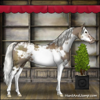 Horse Color:White Spotted Liver Red Dun Mushroom Splash Frame Brindle 