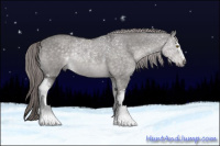 Horse Color:Platinum White Spotted Chocolate Palomino Dun Rabicano