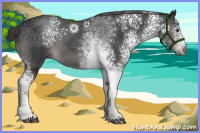 Horse Color:Platinum White Spotted Liver Chestnut