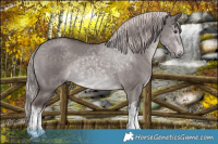 Horse Color:Platinum White Spotted Liver Red Dun Rabicano 
